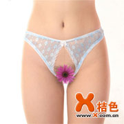 ����͸ɴС��[H1035]