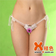 �ٻ��T���ڿ�[H1006]