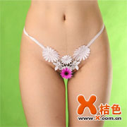ܽ�س�ˮ�ڿ�[H1009]